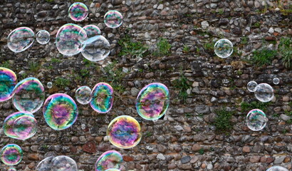 soap bubbles flying in the air