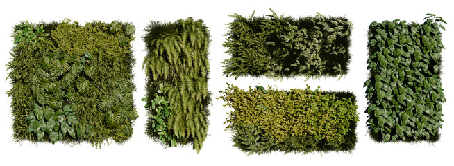 Set of green garden walls from tropical plants, cut out