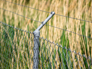 Chain-link fence in a sunny outdoor setting