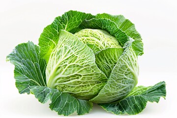 a head of cabbage with leaves