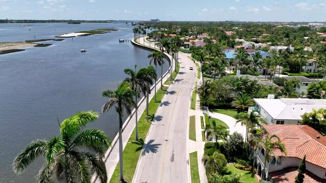 aerial over palm trees lining west palm beach florida street