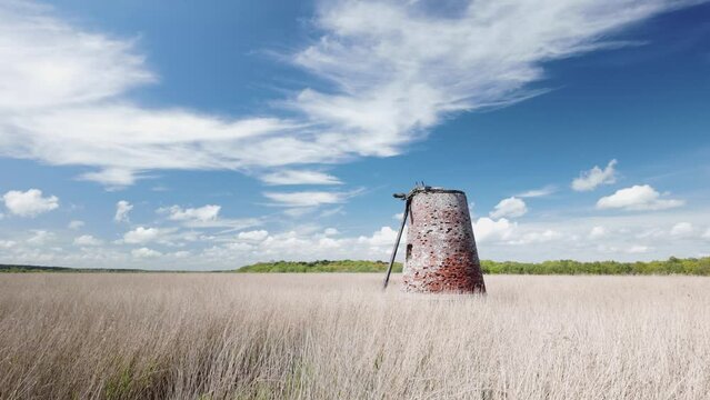 Walberswick derelict abandoned windmill, Westwood marshes reed beds move with coastal breeze