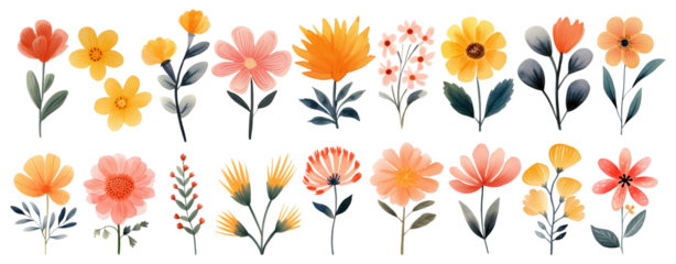 Watercolor floral flowers png element set on transparent background
