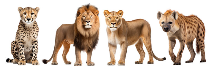 Fototapeta premium Wild animals png on transparent background