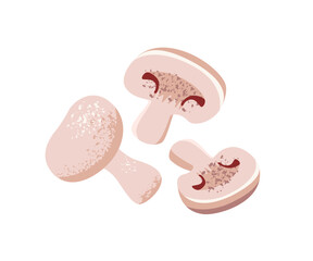 Sliced champignons. Edible mushrooms, raw ingredient for cooking meals. Pieces of uncooked food, autumn forest harvest. Delicious eating. Flat isolated vector illustration on white background