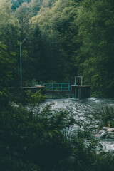 Old bridge over a river in a beech forest with bushes in the foreground and light pole.