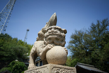 日本の神社の狛犬