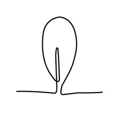 leaf continuous line art