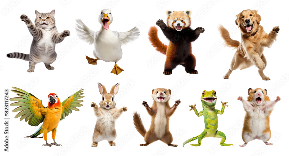 Wall mural dancing animal png element set on transparent background