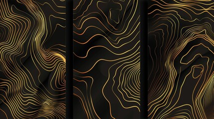 The design package features gold on black luxury wine, abstract lines on a template with topography, and ribbons wavy in the corners.