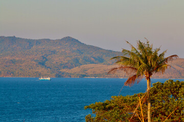 View of a palm tree, a tropical island, a strait and a cargo ship sailing on the sea. Landscape on a tropical island with palm tree and sea.