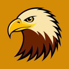 Obraz premium bald eagle head