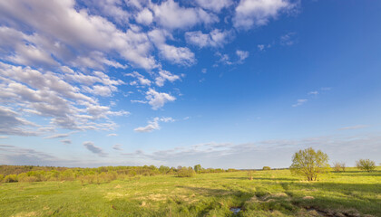 Fototapeta premium Evening landscape. Blue sky with clouds above the horizon. early spring in the countryside, soft sunlight on the grass.