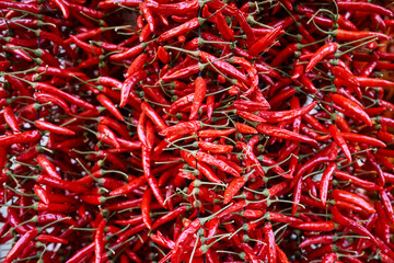 Group of hanging red hot chilli peppers. Background. Close up. 
