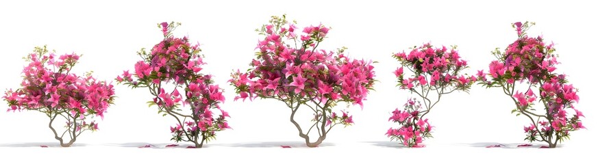 Five blooming pink bonsai trees in various stages of growth. Delicate blossoms against a white background. Perfect for gardening and nature themes. AI