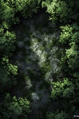 DnD Battlemap Forest of the Silent Shadows - Mysterious dark forest landscape.