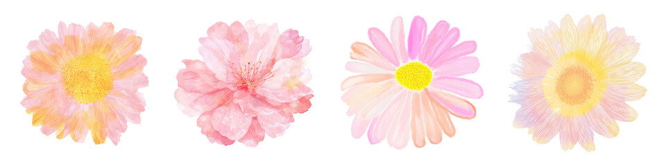Pastel Flower png element set on transparent background