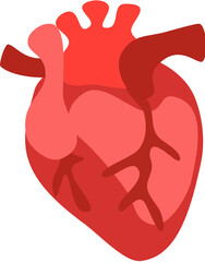cartoon drawing of human organ heart