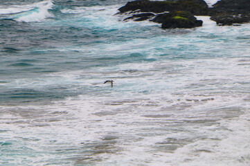waves and sea