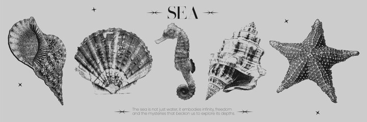 Retro collection of marine elements with photocopy effect. Contemporary vector stickers design, seashells, starfish, seahorse and text. Vintage negative halftone effect, trendy y2k aesthetic. © Katerina Gems