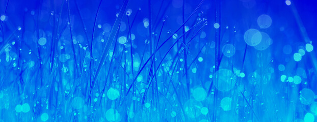 Morning dew on the grass. Blue pastel color toning. Horizontal banner