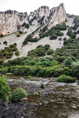 River in the middle of a forest in northern Spain