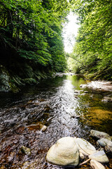 River in the middle of a forest in northern Spain