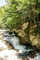 River in the middle of a forest in northern Spain