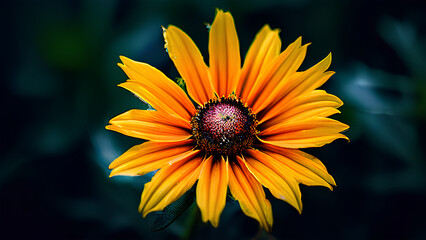 Obraz premium Beautiful flowers bring back memories.