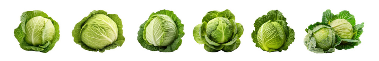 Cabbage png element set on transparent background
