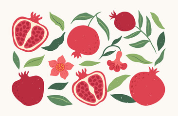 Hand drawn set of pomegranate with leaves, branches and flowers. Vintage modern abstract illustration. Fruit pattern. Vector design for pattern, poster, card, fabric, banner, cover.