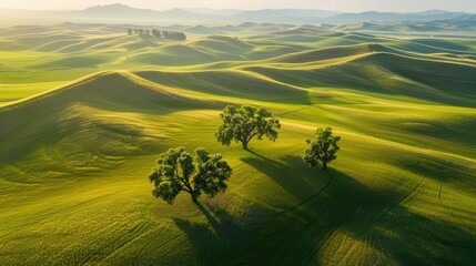 Overhead shot of a wide, green field with a few grand trees, gradually giving way to the rolling...