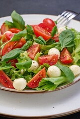 Salad with mozzarella, cherry tomatoes and green lettuce in a white round plate
