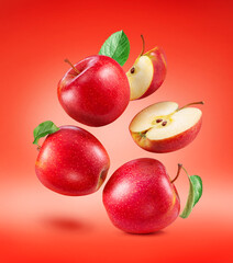 Ripe red apples and apple slice isolated on red background. File contains clipping paths.