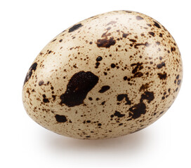 Quail egg close up. File contains clipping path.