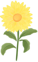 yellow flower