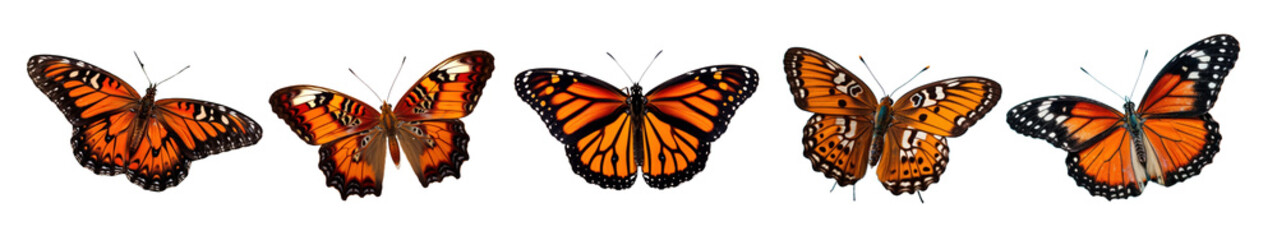 Fototapeta premium Butterflies png element set on transparent background