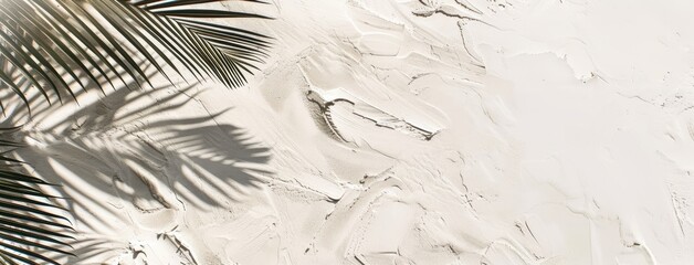 Palm Shadow on Pristine White Sand Beach