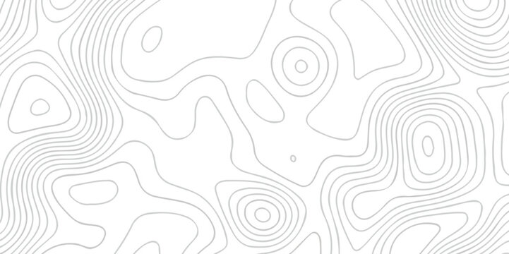 Abstract background vector. Abstract topographic contours map background. Abstract white pattern topography vector background. Black and white topography contour line map isolated on white background
