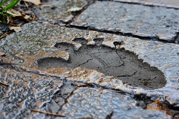 Fototapeta premium Puddle water ground sidewalk