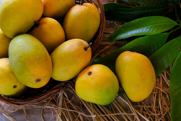 Fresh Organic Ripe Mango Fruit with leaves. 