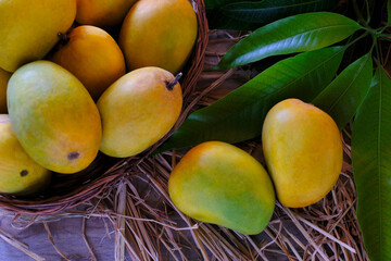 Fresh Organic Ripe Mango Fruit with leaves. 