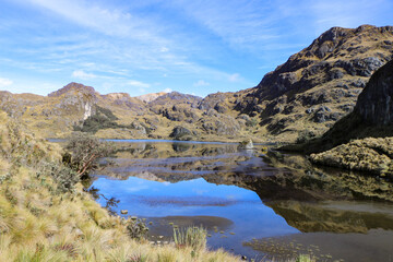 reflection in the lake