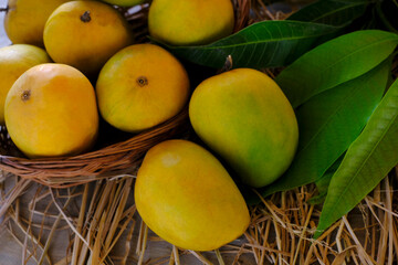 Fresh Mango tropical fruit with green leaf, Ripe mango in grass.