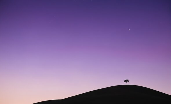 Single tree silhouette on a hilltop against a purple sky