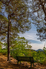 Park Bench with View and Walking Path though Wood with Pine Trees in Dahn, Rhineland-Palatinate, Germany, Europe