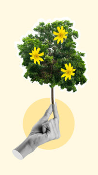 A human hand holding a green tree