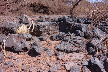 Manganese ore outcrops, mined in Western Australian Outback