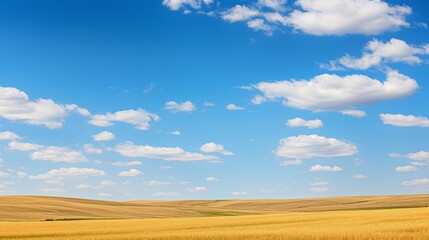 Fototapeta premium Golden fields amidst prairie landscape