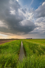Beautiful storm cloud above a ditch in the wide open Dutch landscape